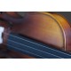 Violino Michael VNM 49 - Ébano Series
