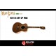 Violão Rozini RX115 ATF LP / MIni / Laçamento / Captação Piezo+microfone