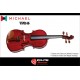 Violino Michael VNM146 4/4 - Boxwood Series / Todo Maciço