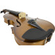 Violino Spring VS-44X 4/4 / Completo (Case, arco, bréu)